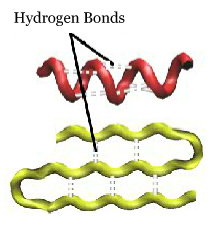 Hydrogen Bonds