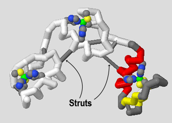 Add Struture Adding and Removing Individual Struts