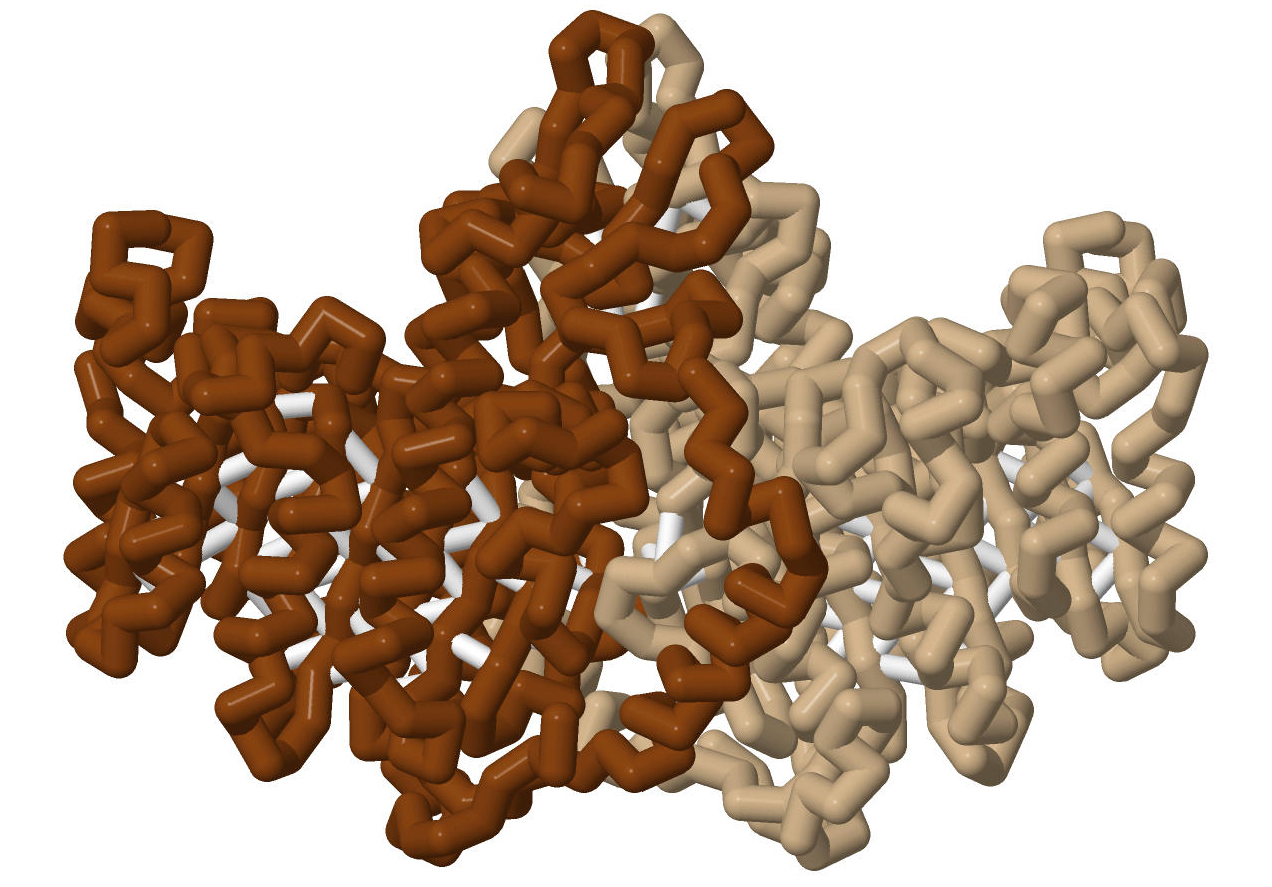 rIAP backbone rendered in Jmol, based on 4KJG.pdb.